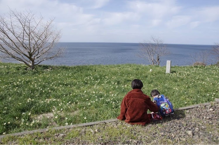 天気が良ければ青い海と一緒に写真が撮れます