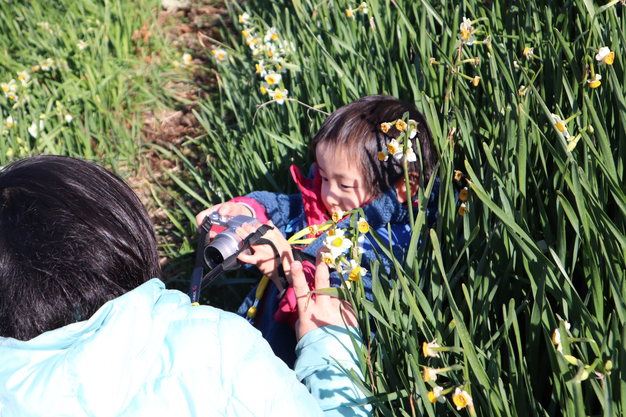 越前水仙カメラではみんなで沢山写真を撮りました。