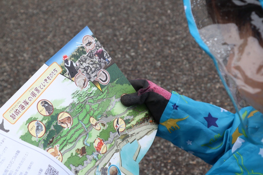 石積み学校では、越前海岸の生き物たちを学習してから石積みを開始。