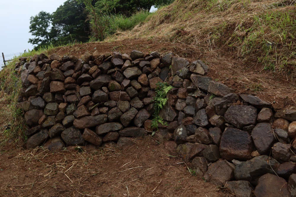 みんなで積んだ石積み！セメントなどで固めないので生き物にやさしい造りです。