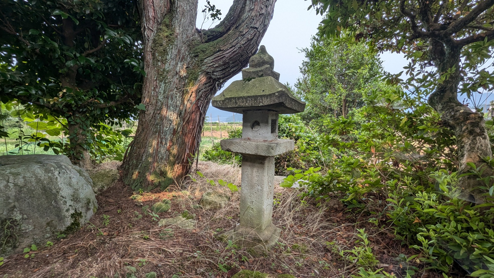 越前市徳間町にある屋敷跡