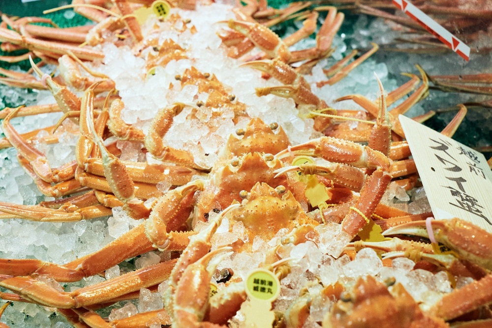 「越前ガニ」とは？福井県が誇る味覚の旬やおすすめの食べ方をご紹介します！