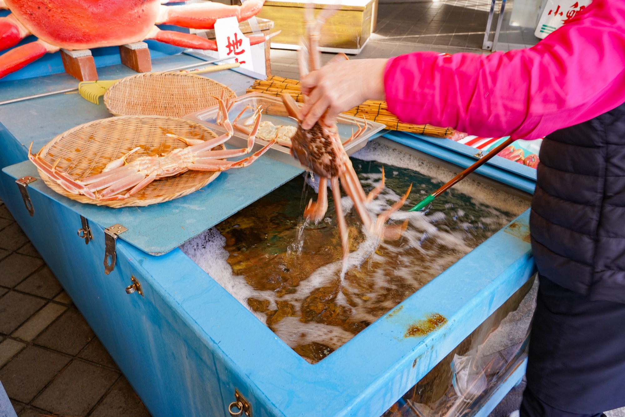 越前ガニを購入することも！