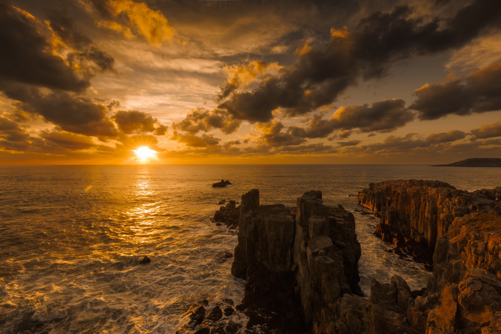 提供：さかい旅ナビ