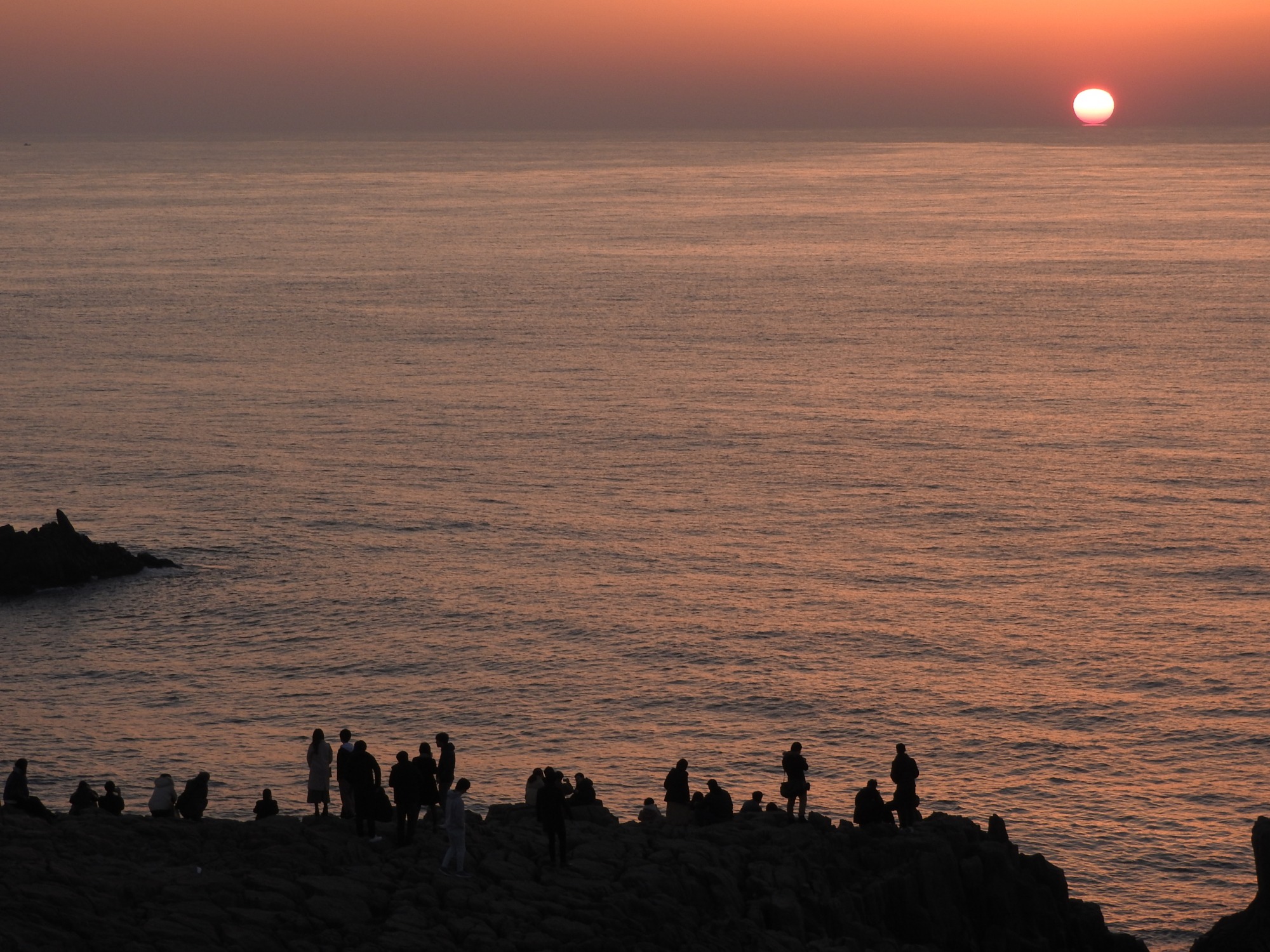 提供：坂井市役所