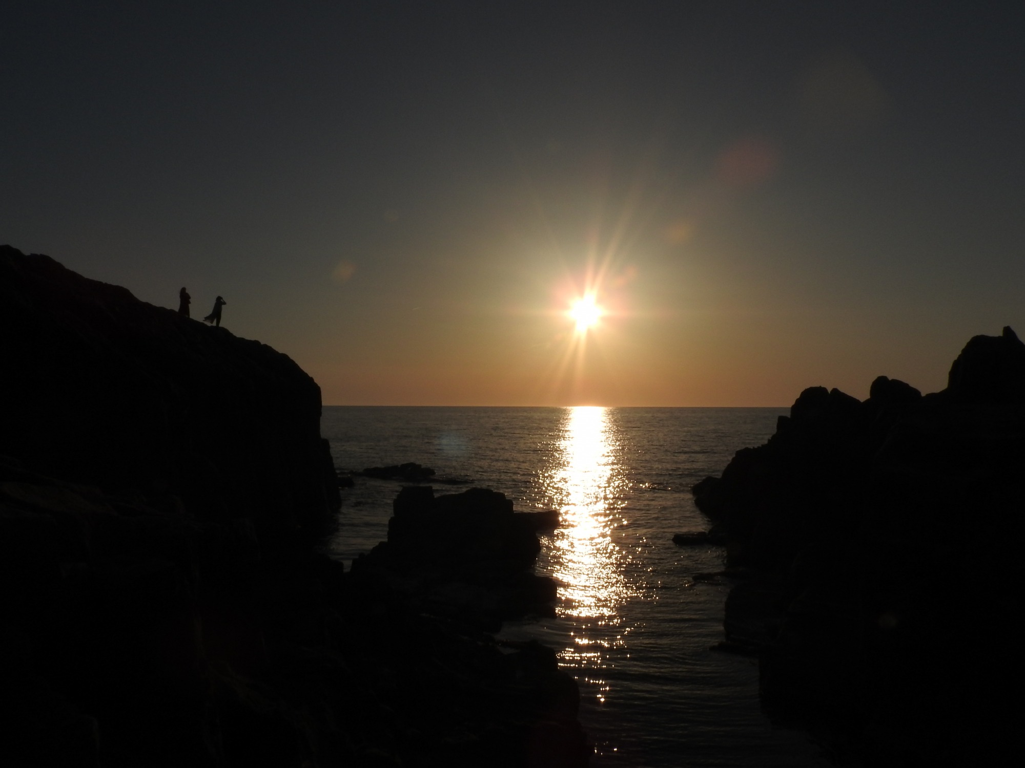 提供：坂井市役所