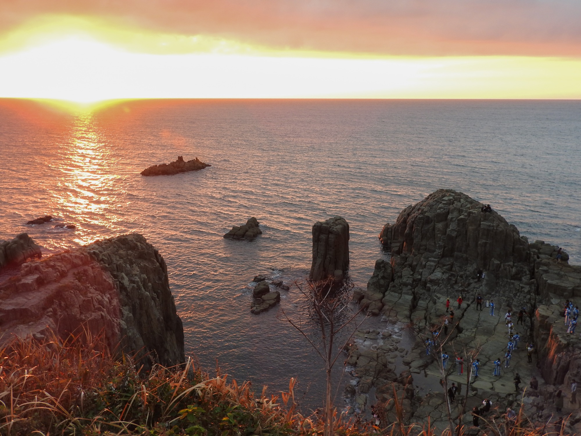 提供：坂井市役所