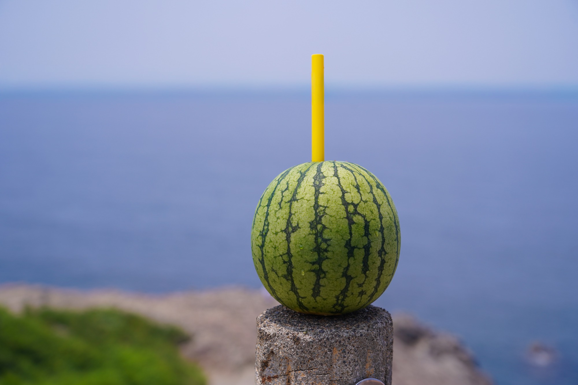 〈東尋坊291〉果物を丸ごと生絞りしたジュース「カジュッタ」