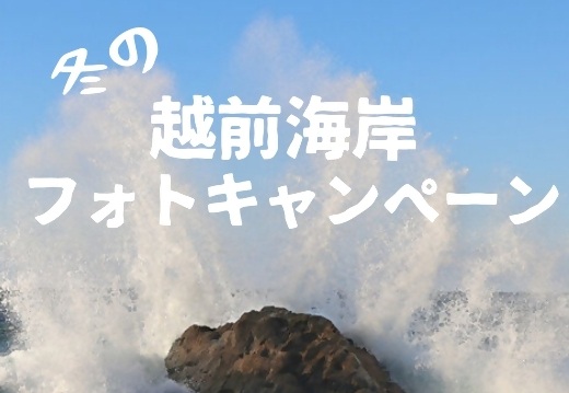 冬の越前海岸フォトキャンペーン