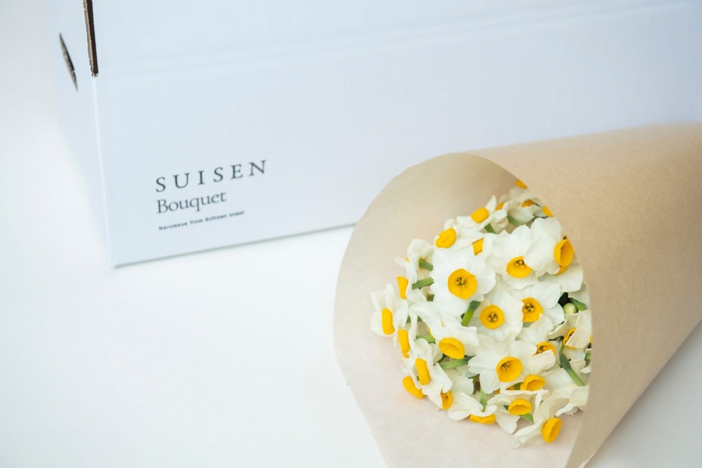 ノカテの取り組みが2025年度「グッド・デザインベスト100」「グッドフォーカス賞［地域社会デザイン］」受賞！