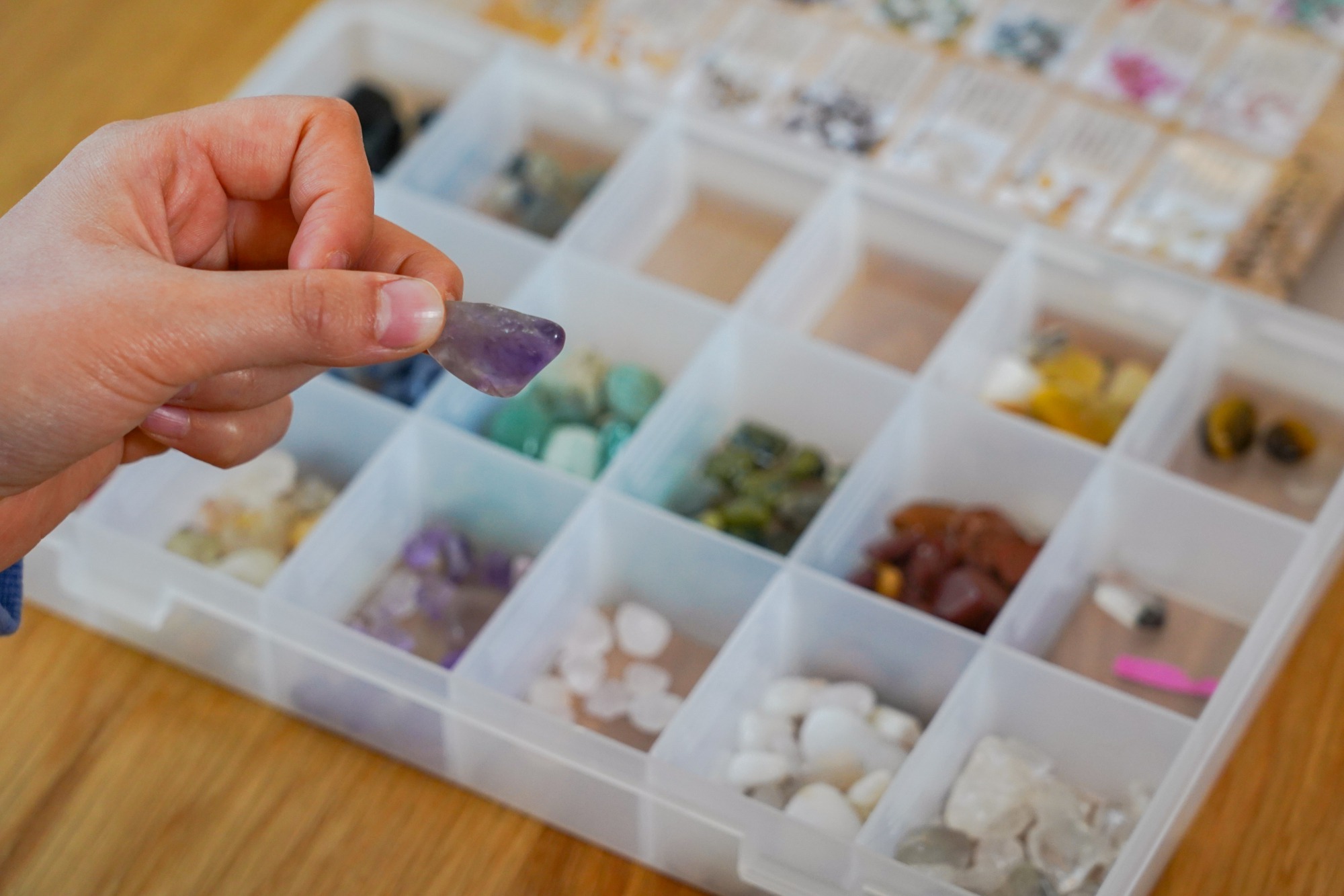 家に帰ってコレクションボックスへ…