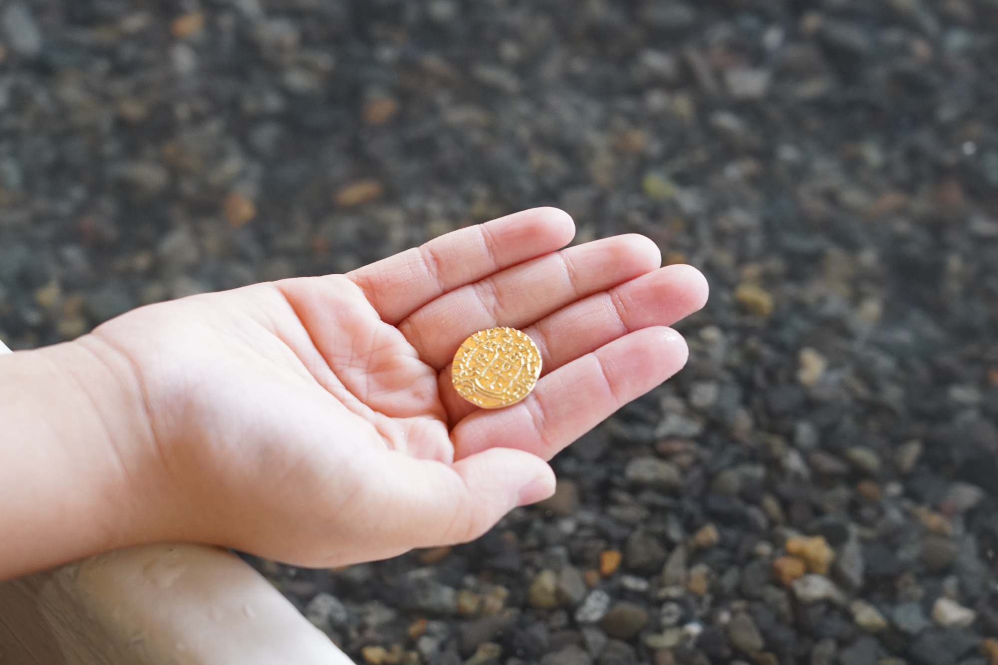 特別にコインがどんな感じか見せてもらえました！