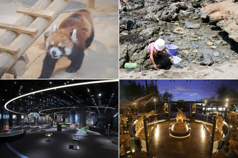 子どもが喜ぶ福井の遊び場36選 ～観光やおでかけにもおすすめです～