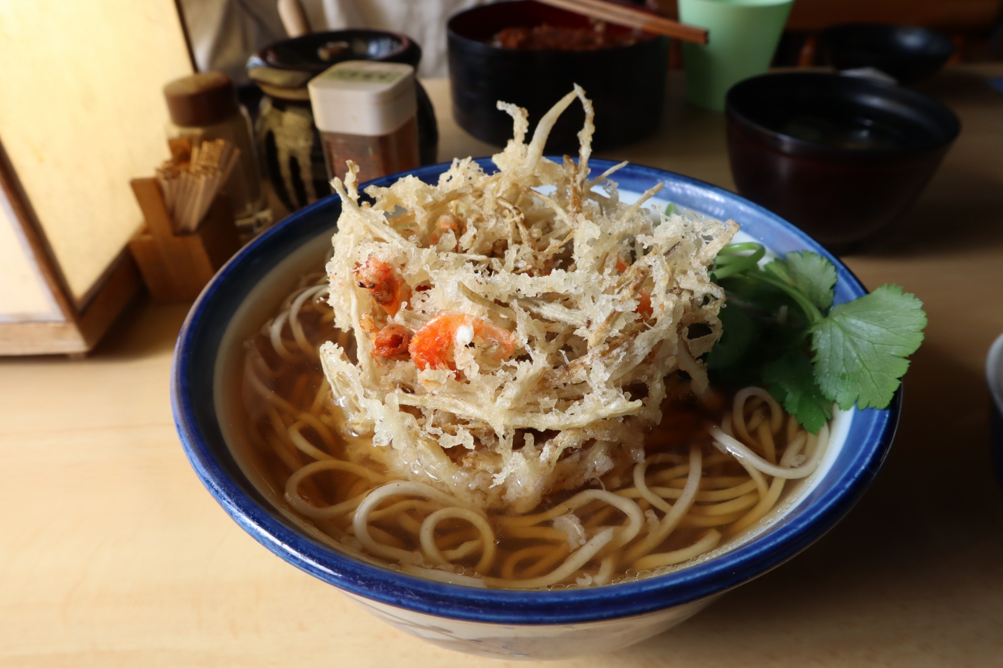 丁寧にとった出汁のつゆと細めの二八蕎麦、ごぼう天のハーモニーよ。。