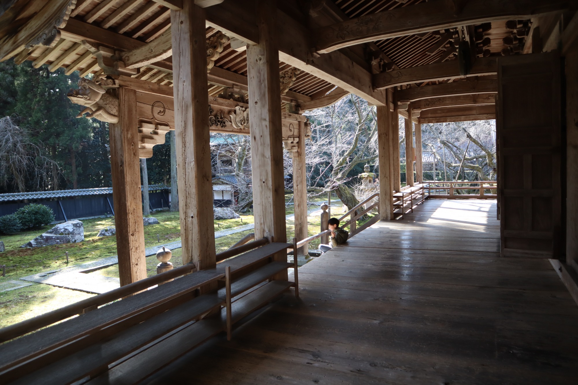 なんだかゾーンに入ってしまった息子。いいよね、石庭。。