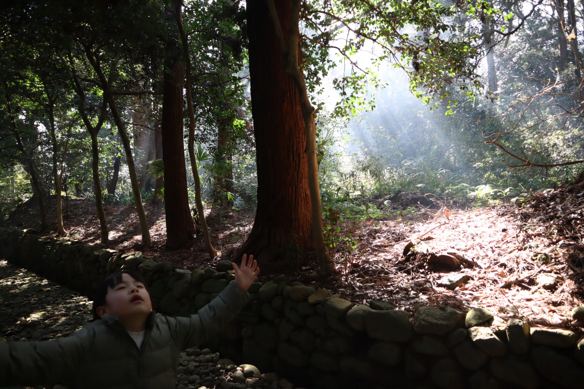 参道から空気が違う！