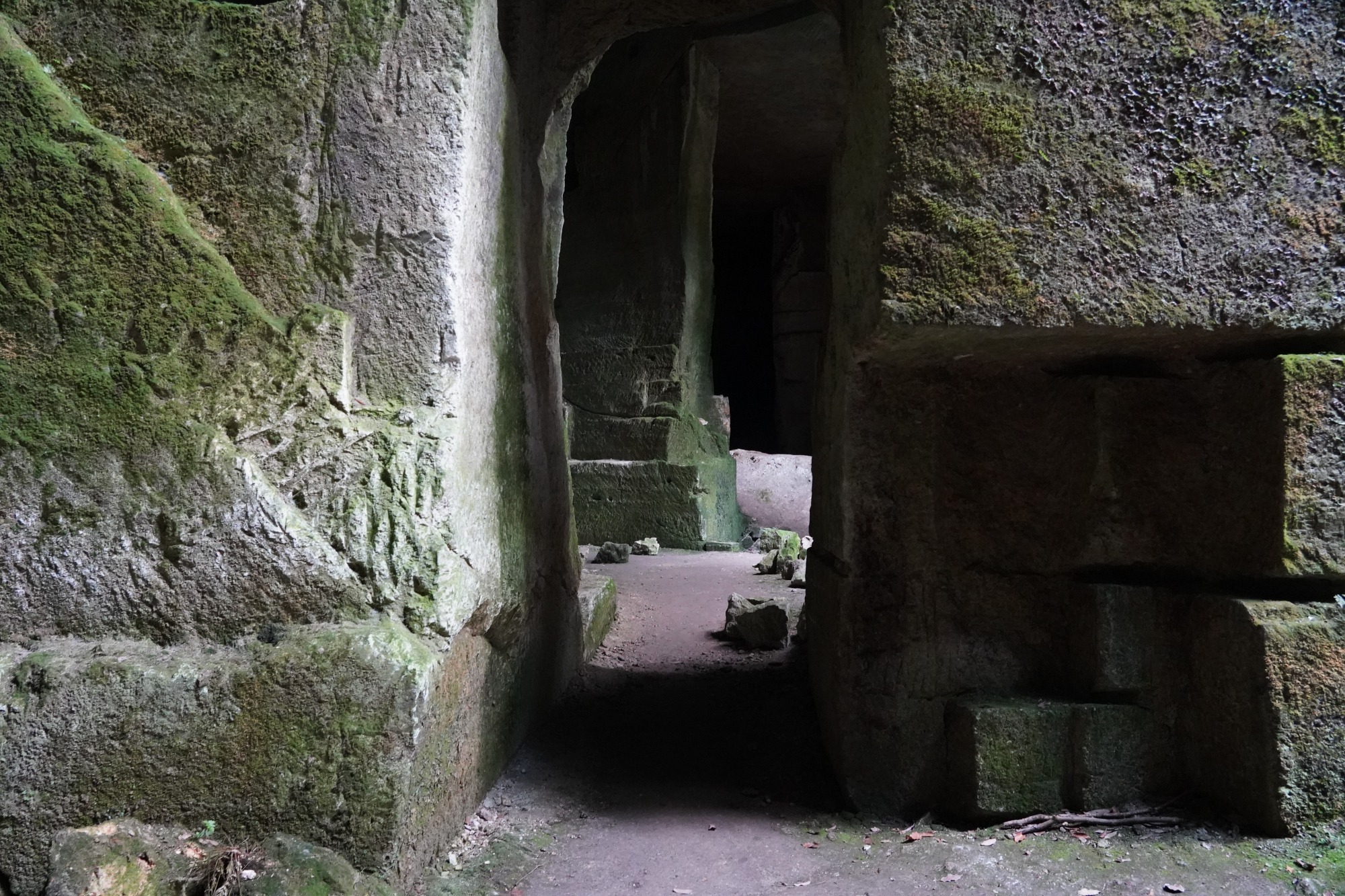 巨大な岩壁と苔むした景色が織りなす風景は、古代文明の遺跡を思わせる雰囲気。