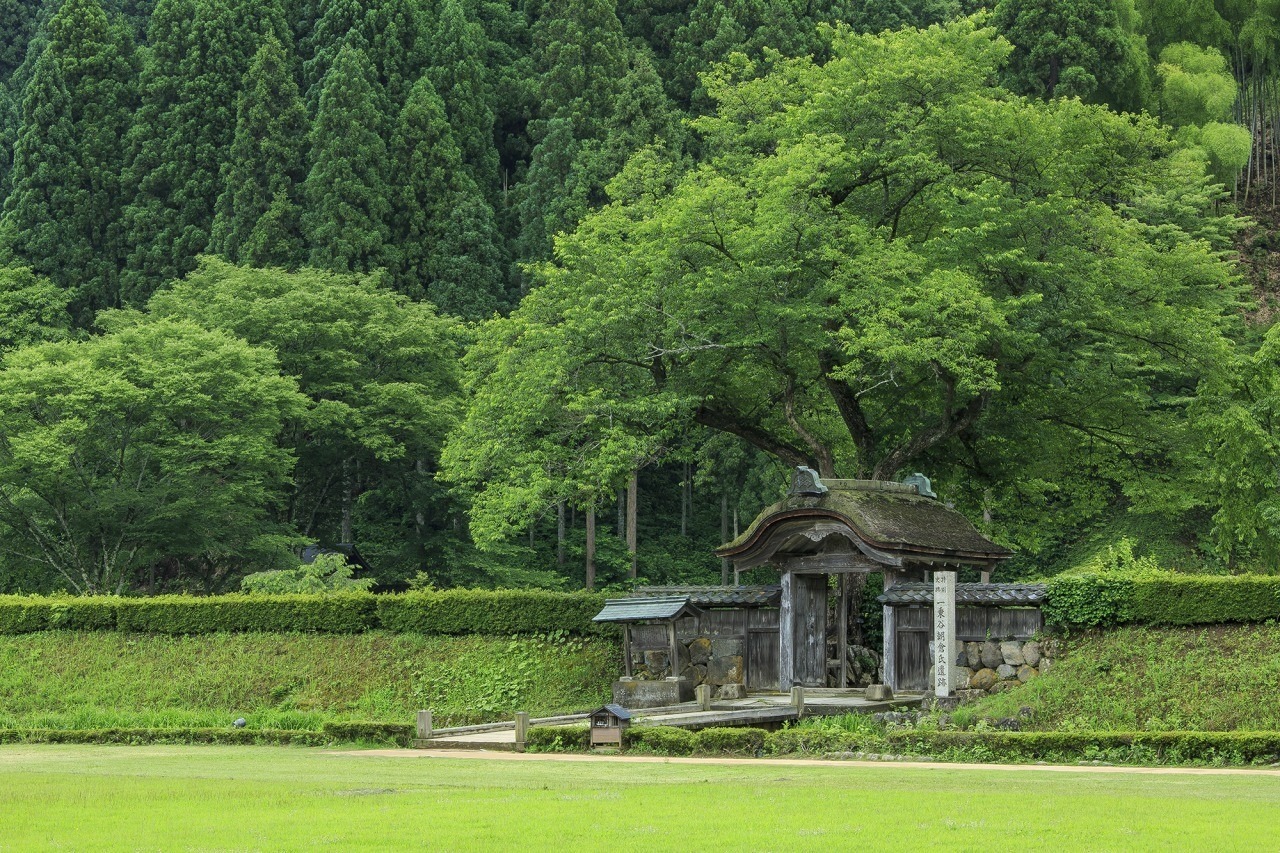 朝倉氏約100年間の栄華が眠る城下町跡「一乗谷朝倉氏遺跡」