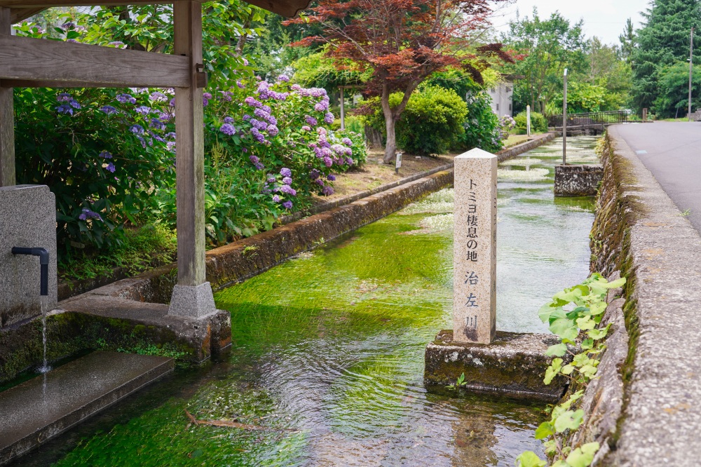 治左川