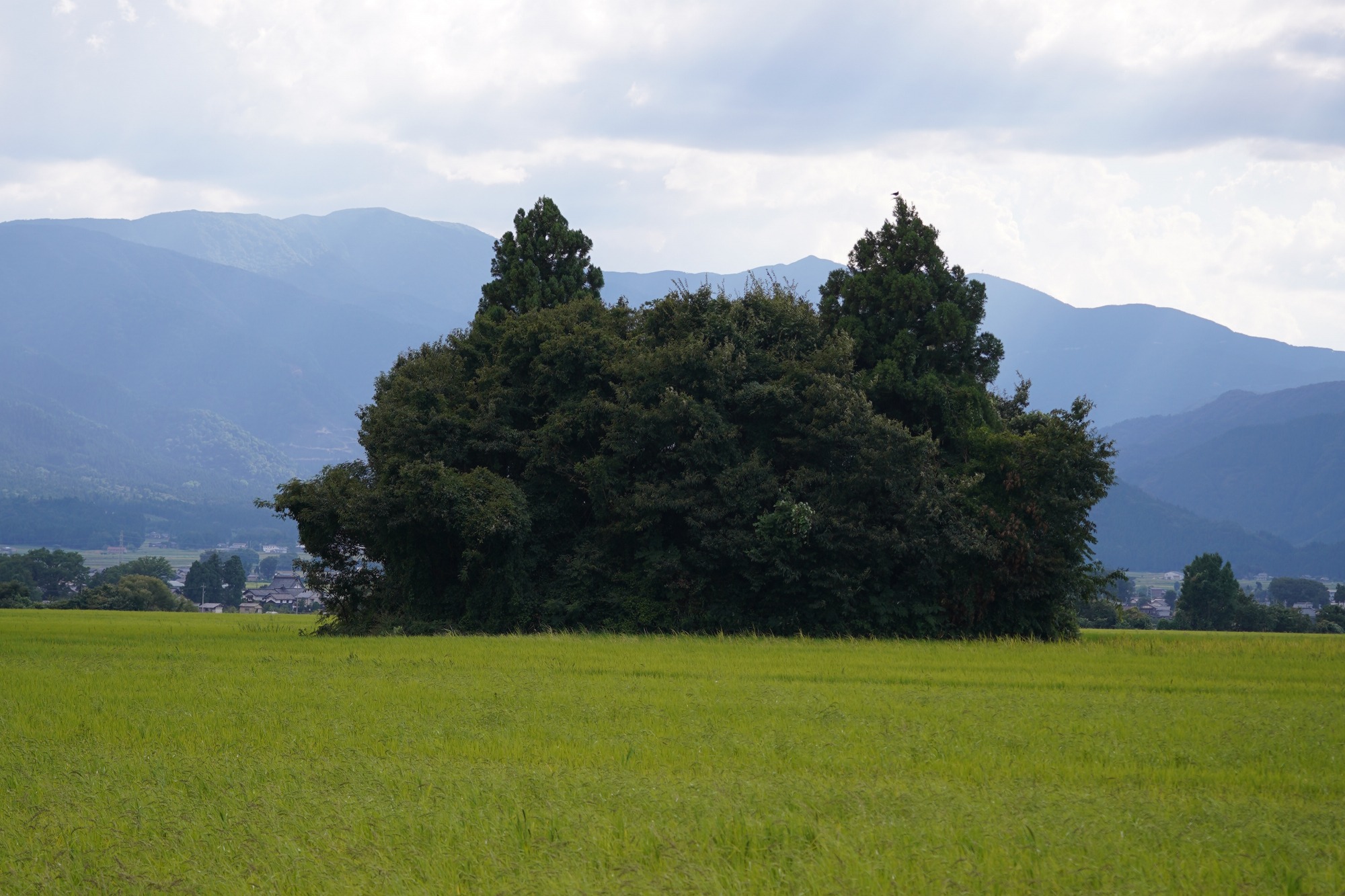 この姿は…！思わず写真に撮りたくなってしまう