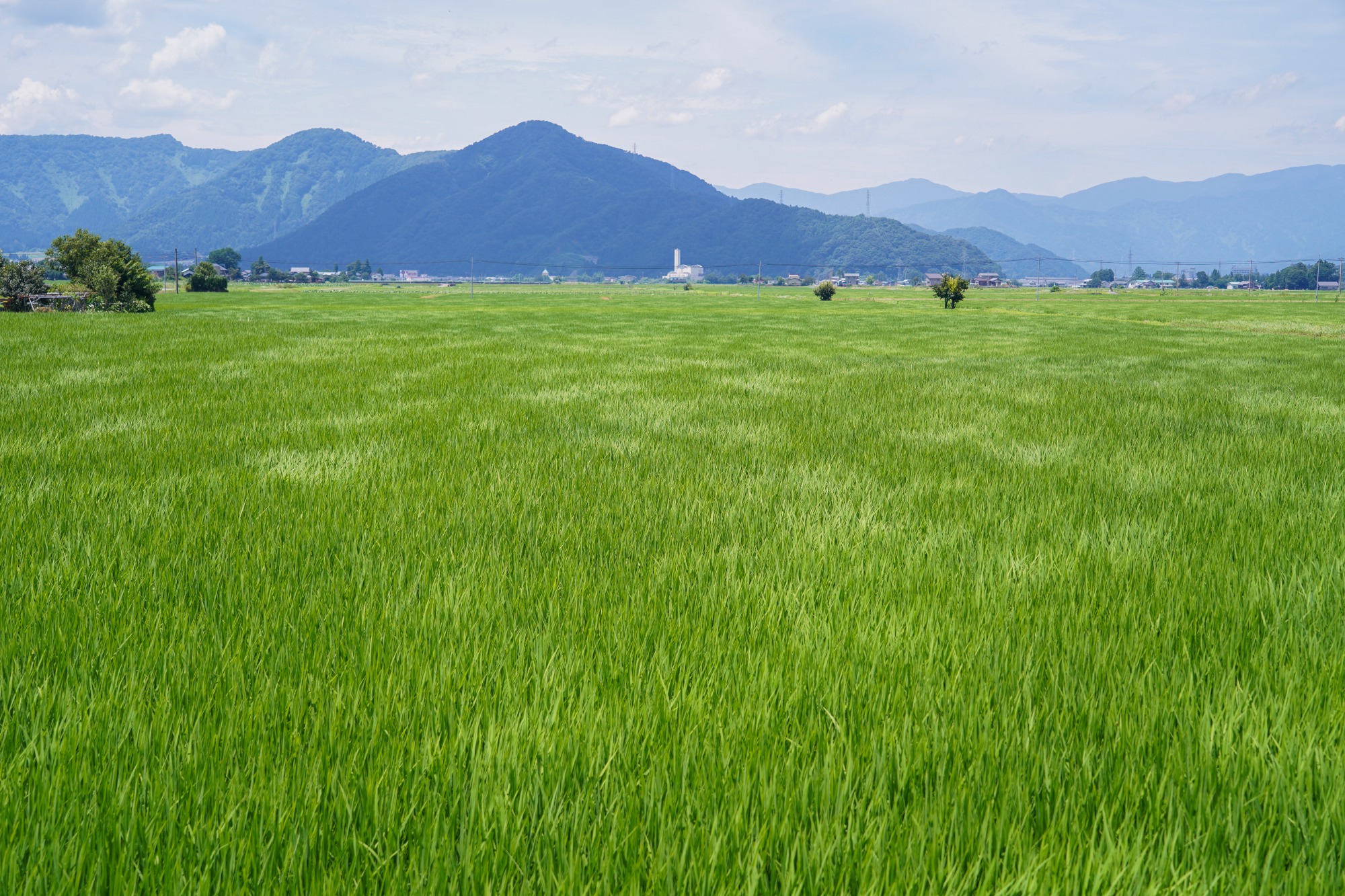 田園風景にも癒されます