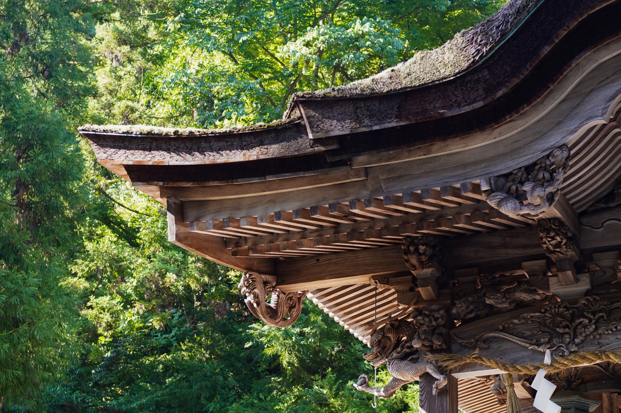 精巧な彫刻に目を奪われます。