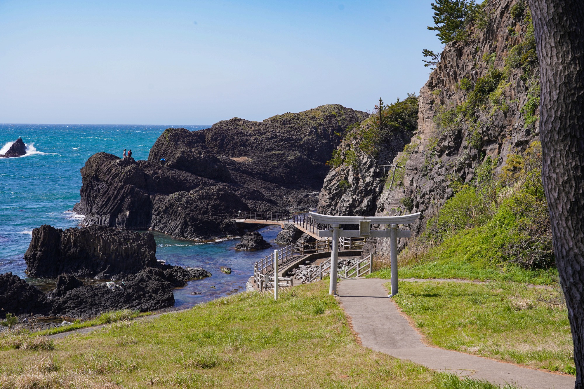 鳥居の向こうに見えるのが大島