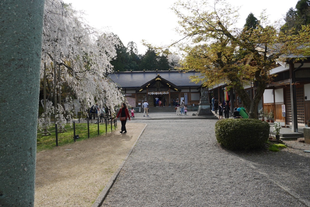 足羽神社境内