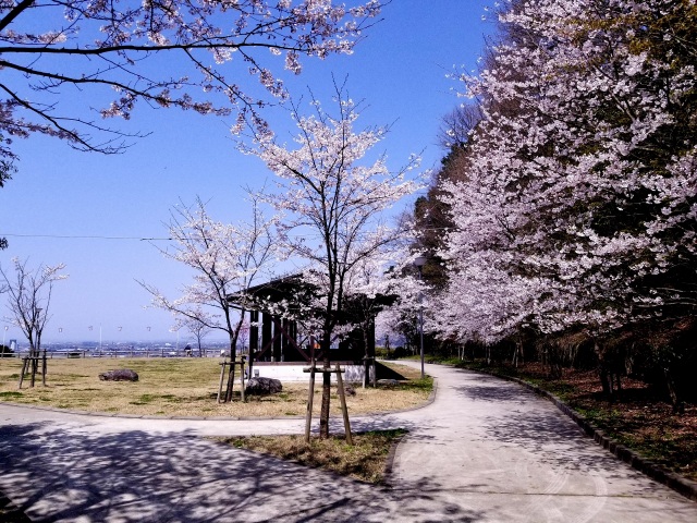 松岡公園