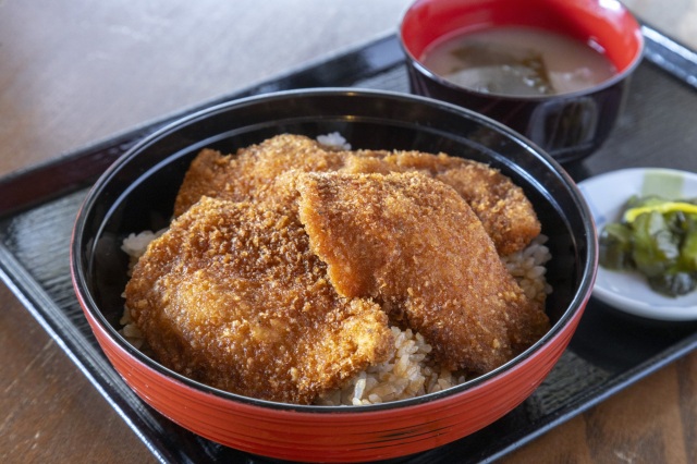 福井名物ソースカツ丼のおすすめの店を観光地別にピックアップ！さらに地元民も御用達の人気テイクアウト店も紹介します。
