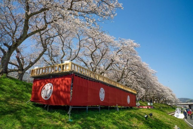 桜床（足羽川ぼんぼり物語実行委員会）