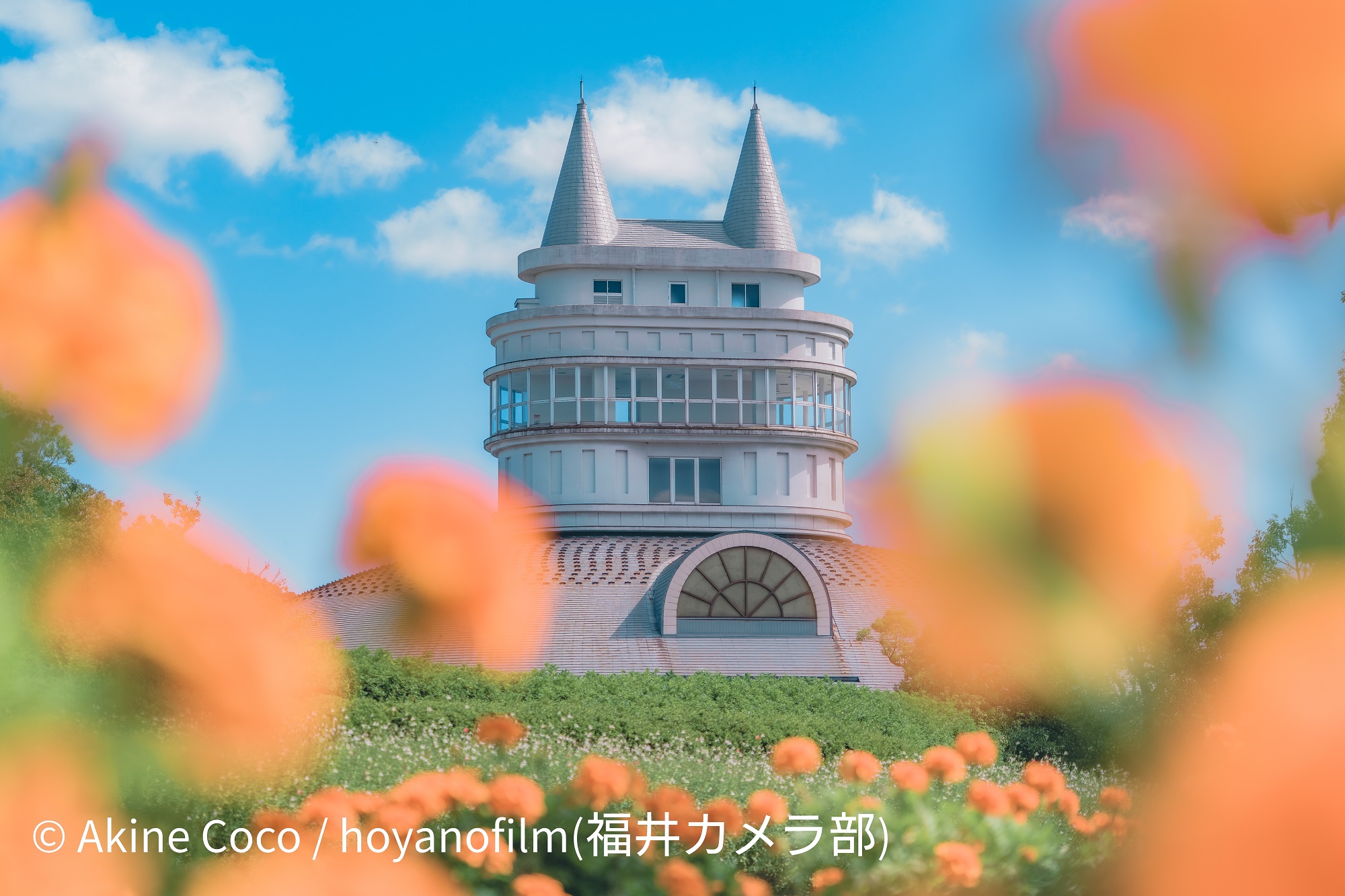 季節の花が咲き誇る「福井県総合グリーンセンター」（photo ©Akine Coco）