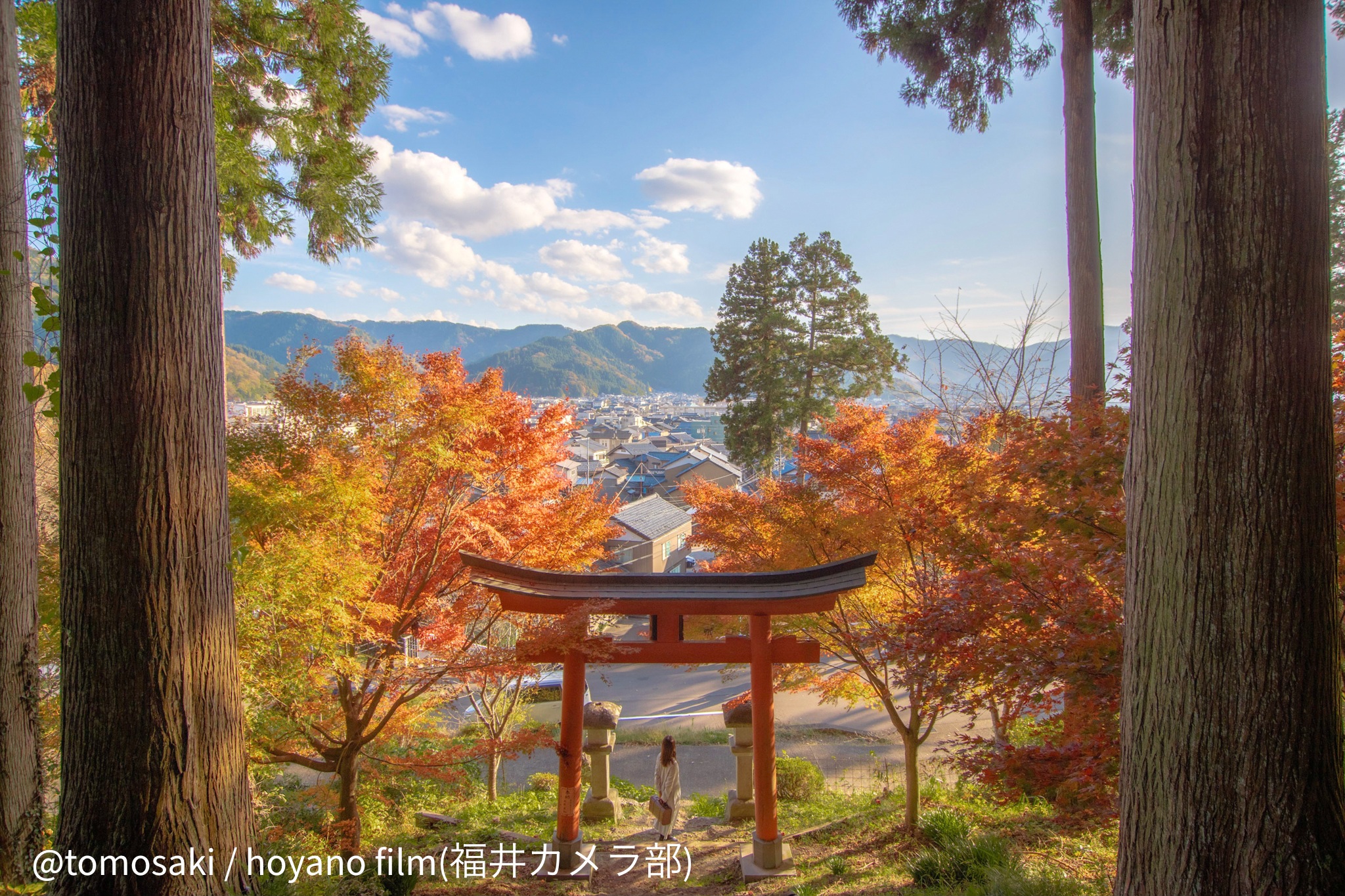 もみじに鮮やかに彩られる「花筐公園」(photo ©tomosaki）