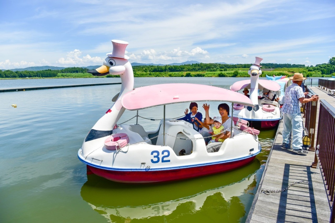 北潟湖畔公園・サイクリングパーク｜スポット・体験｜福いろ|福井市