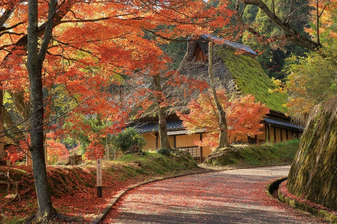 花筐公園｜スポット・体験｜福いろ|福井市公式観光サイト 名所