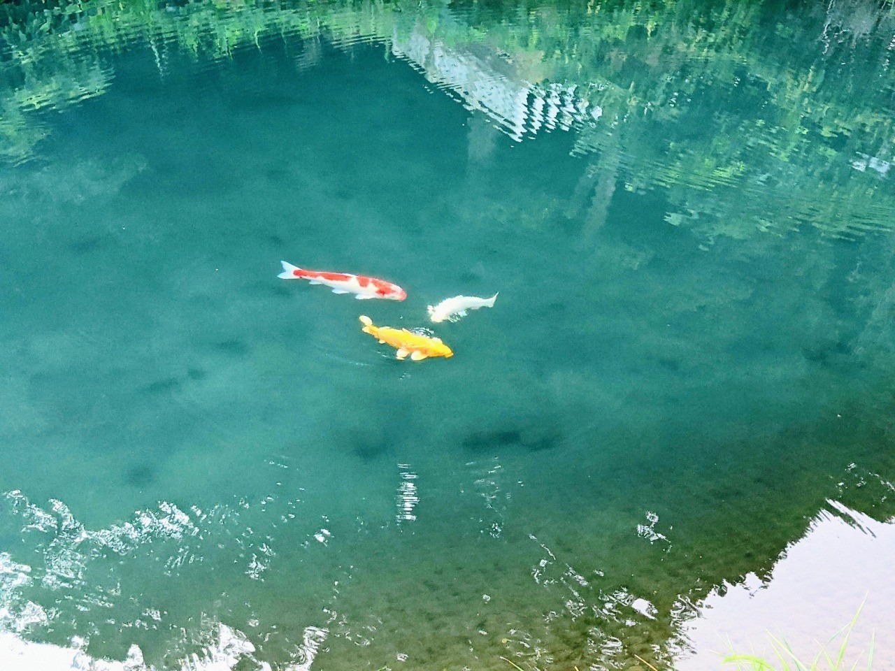 水分神社｜スポット・体験｜福いろ福井市公式観光サイト 名所/グルメ/お土産/イベント