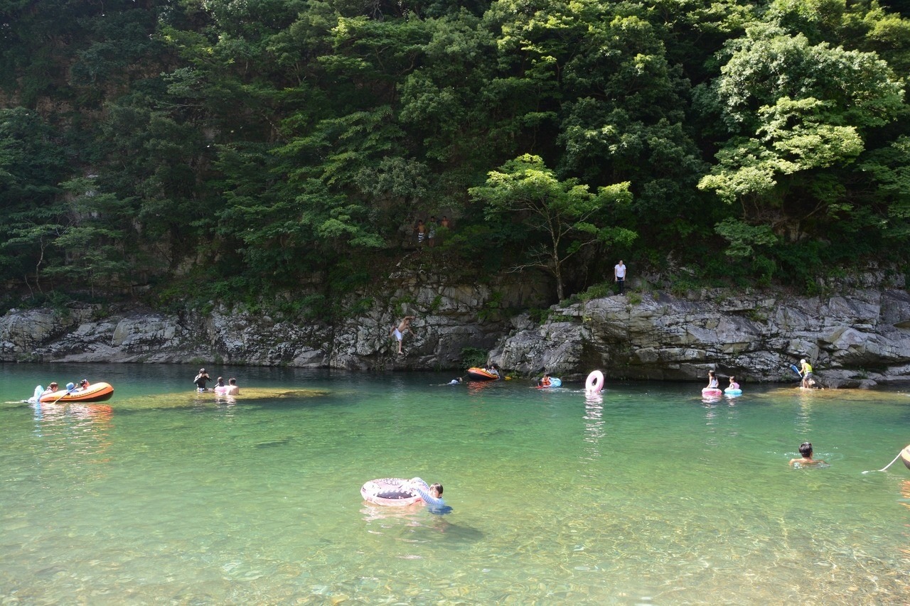 勝原園地|スポット・体験|福いろ福井市公式観光サイト 名所/グルメ/お土産/イベント