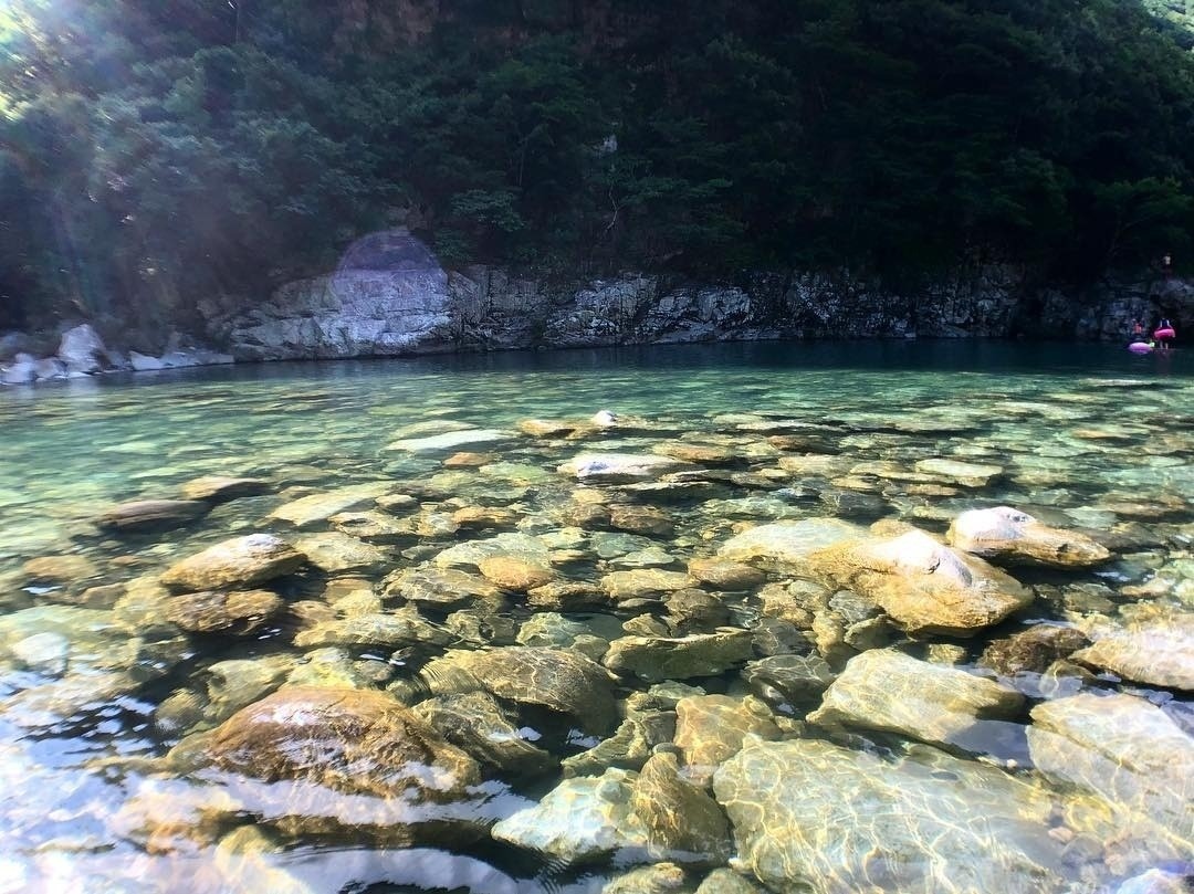 勝原園地|スポット・体験|福いろ福井市公式観光サイト 名所/グルメ/お土産/イベント