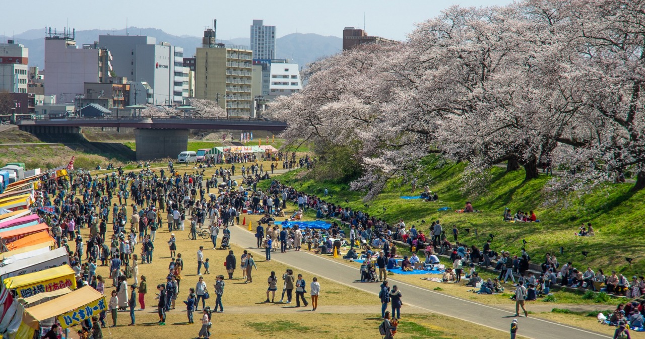 ふくい桜まつりの様子
