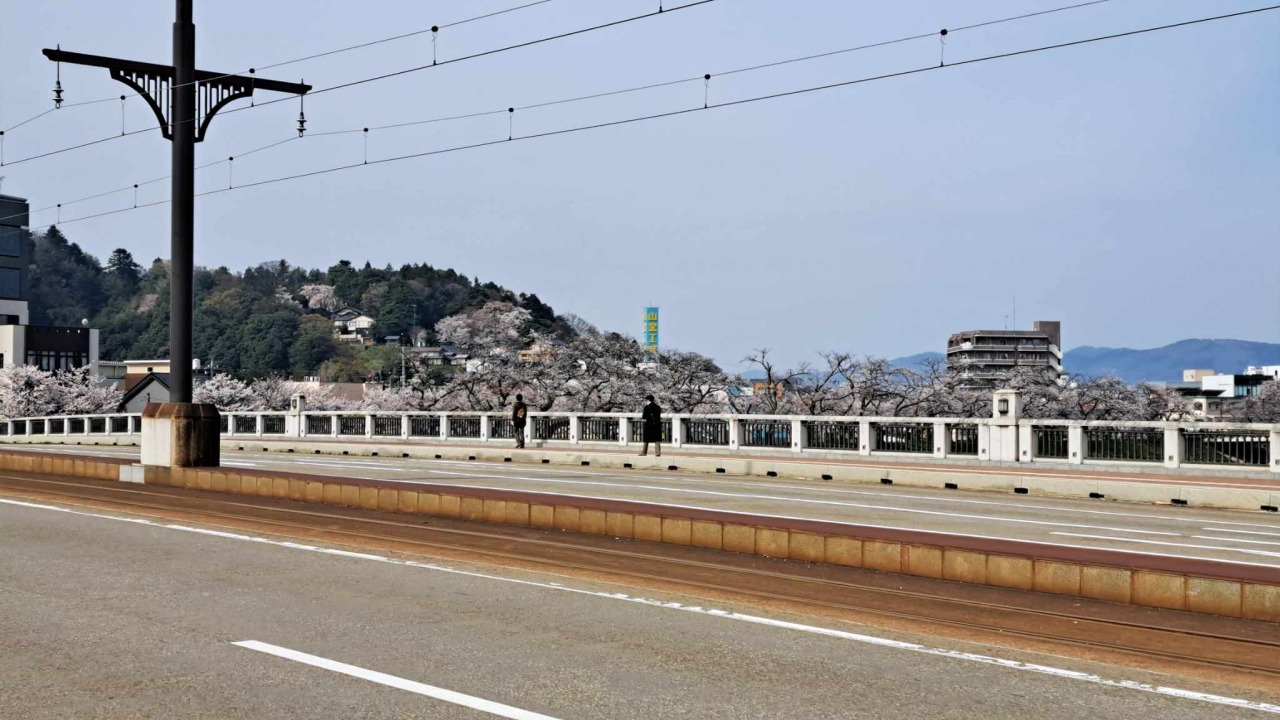幸橋　中央には福井鉄道の路面電車が走ります。