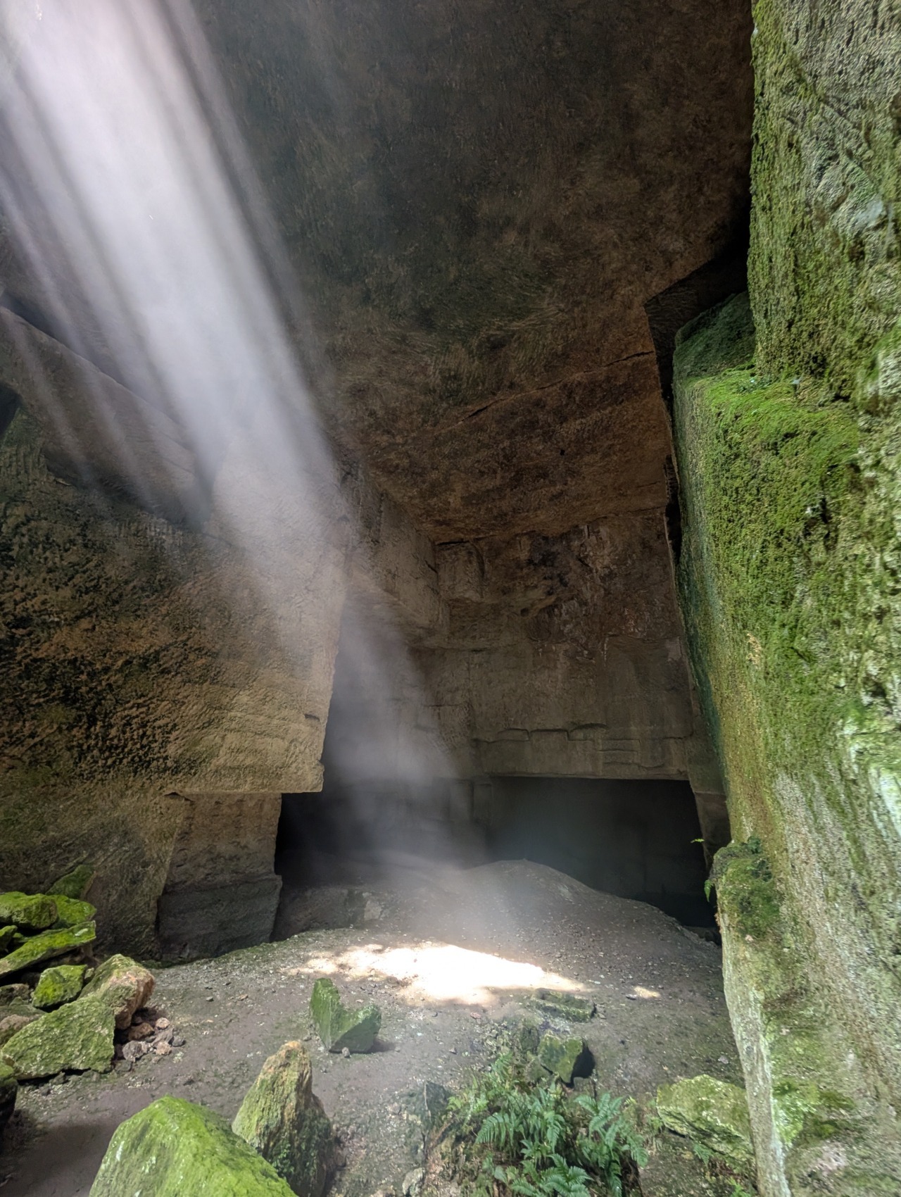 宮谷石切場跡へ神秘ピクニック ｜スポット・体験｜福いろ|福井市公式