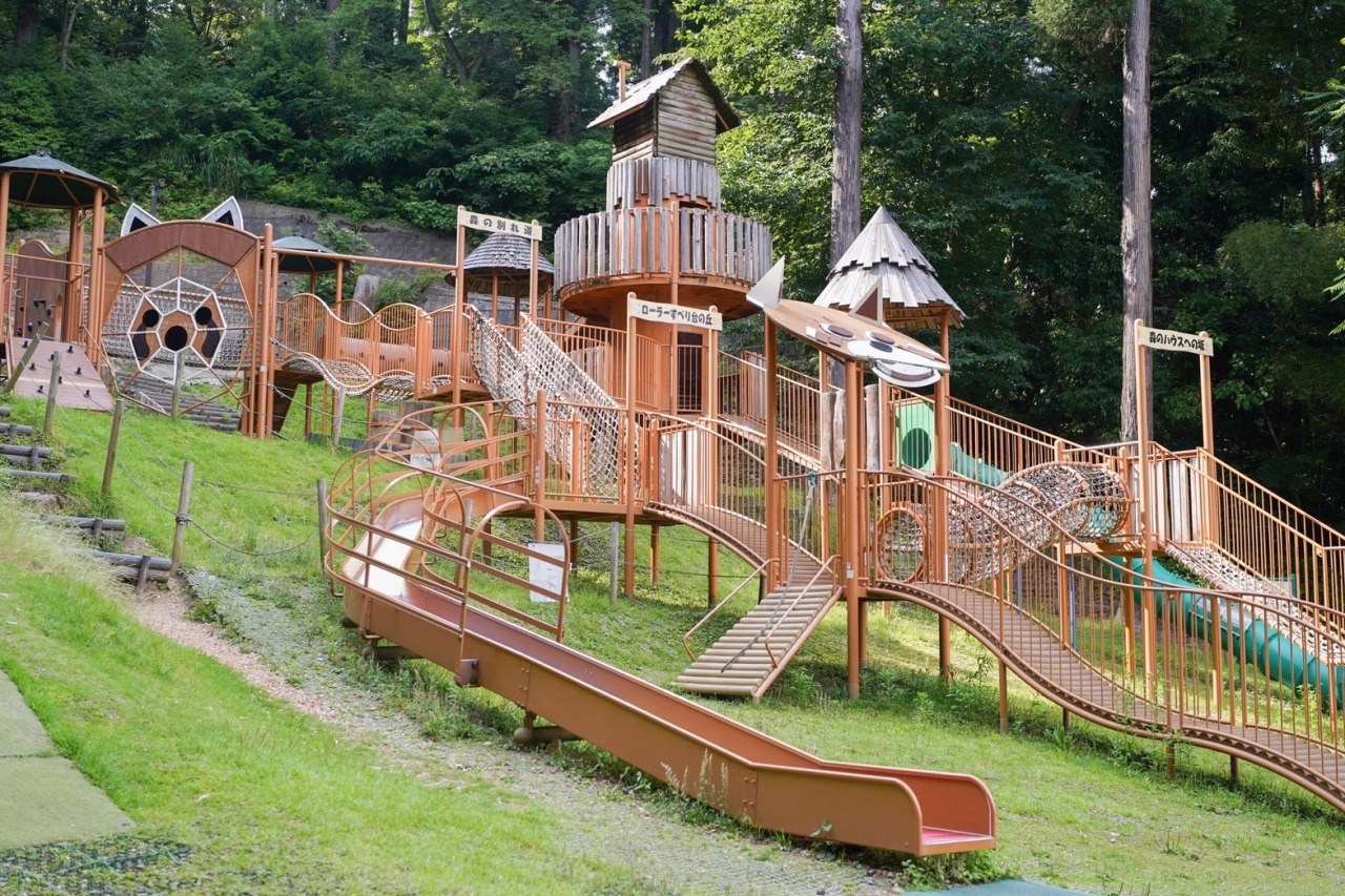 パンダランド 冒険の森(西山公園)｜スポット・体験｜福いろ|福井市公式