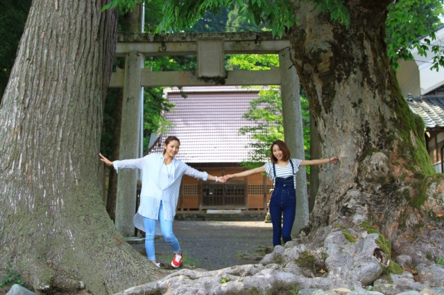 白山神社(池田町)