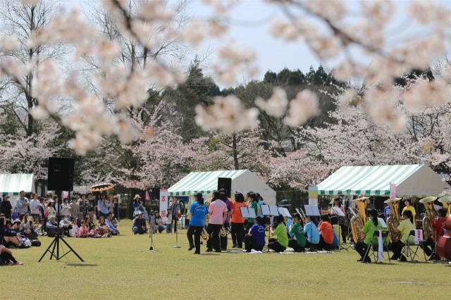 第14回越前陶芸村しだれ桜まつり