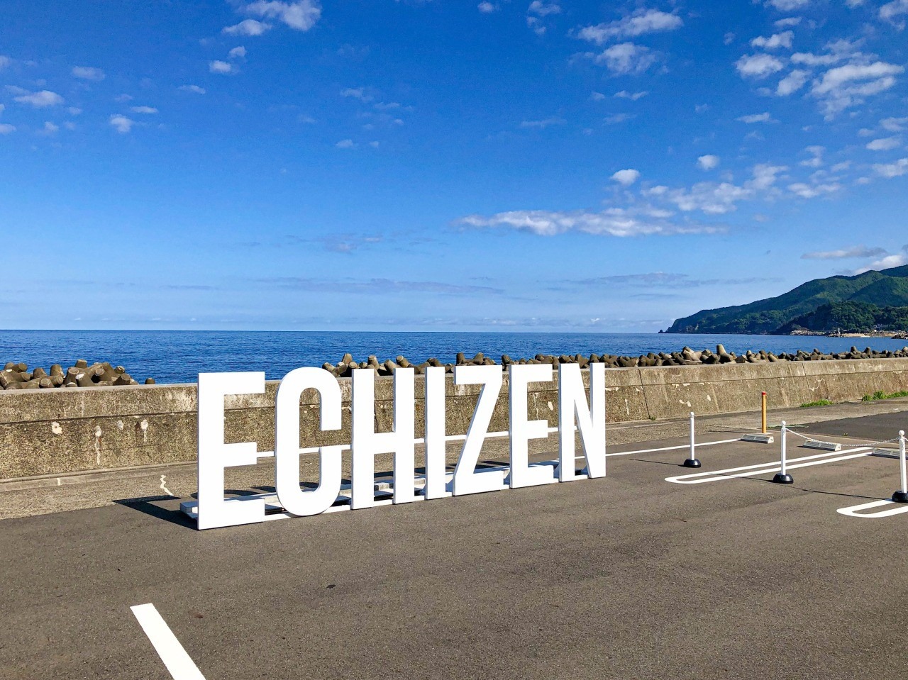 ★GW限定値下げ　鉄道駅名標 越前　ECHIZEN 越前花堂駅 | JR西日本・北陸本線・越美北線