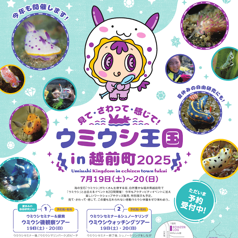 ウミウシ王国 in 越前町 2025｜イベント｜福いろ|福井市公式観光サイト