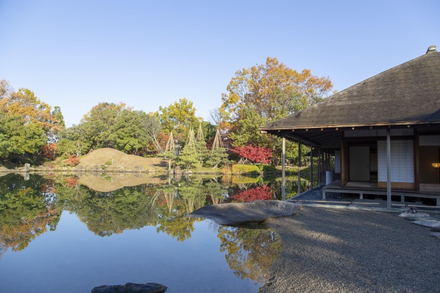 養浩館庭園「秋のお茶席」