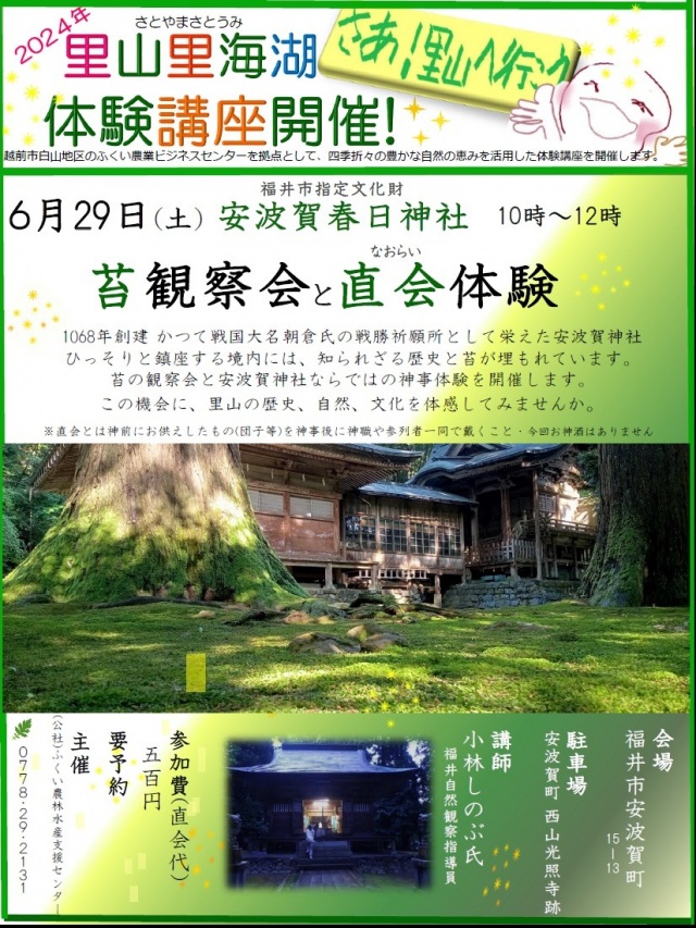福井市指定文化財　安波賀春日神社で苔観察会と直会体験