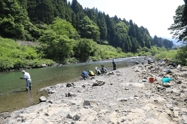 【参加者募集】越美北線で行く　「自然体験」ツアー