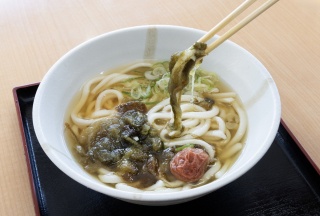 敦賀名物のおぼろ昆布と福井梅をトッピングした「おぼろ昆布うどん」